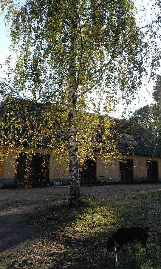Hommik House Villa Otepaa Exterior photo